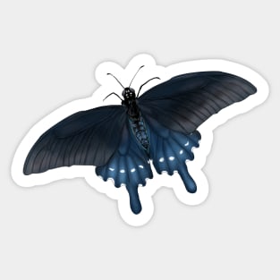 blue pipevine swallowtail butterfly Sticker